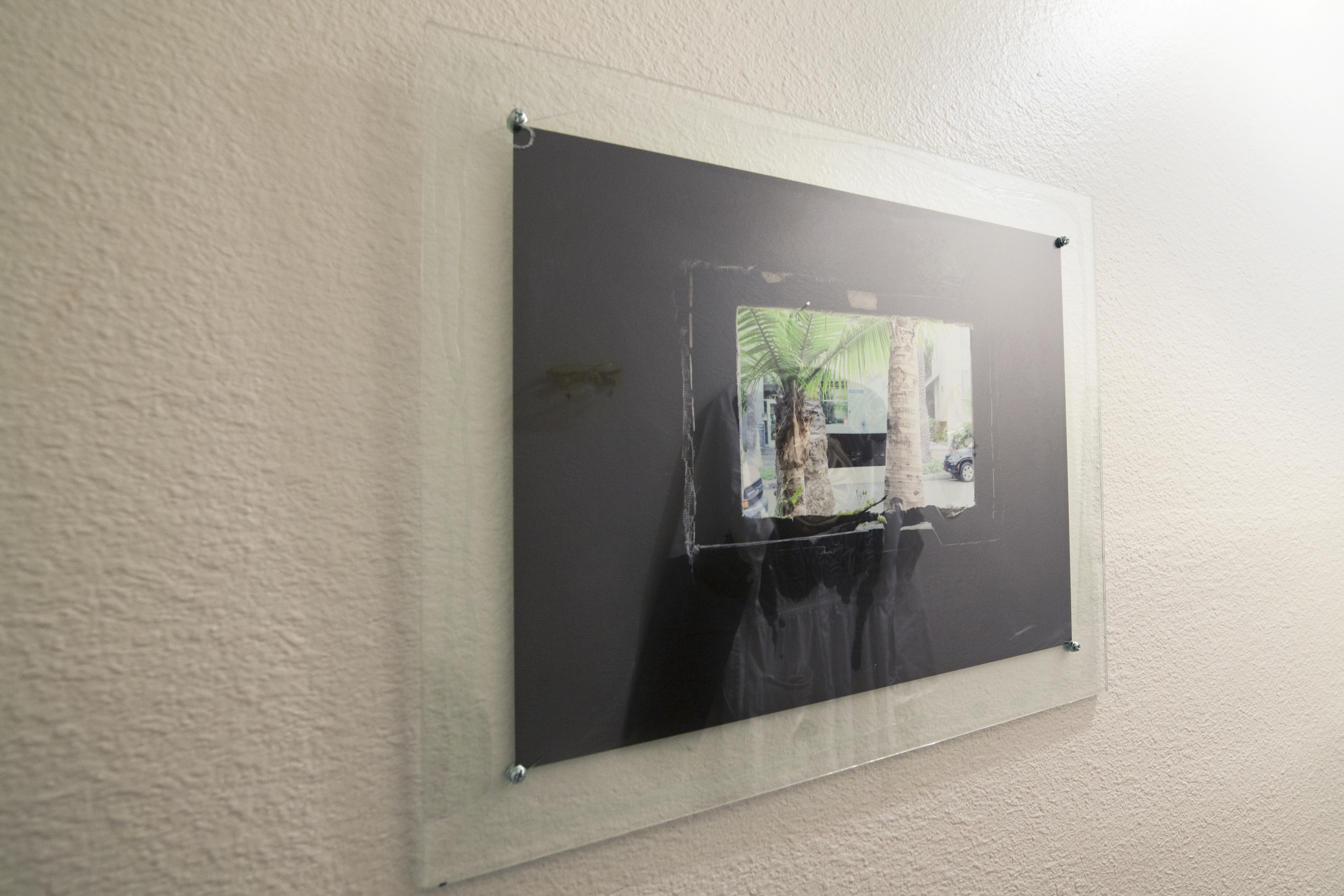 Photo print of palm tree through a shattered window hung on a white wall